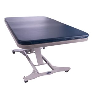 32" x 78" Pearl Grey Base - Black Upholstery