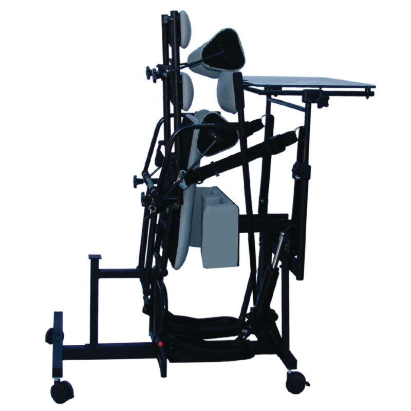 Symmetry Adult Stander