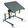 Convert-Able Table - Sensory Stim Bowl