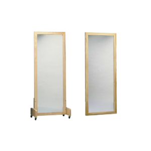 Wall Mounted Mirror